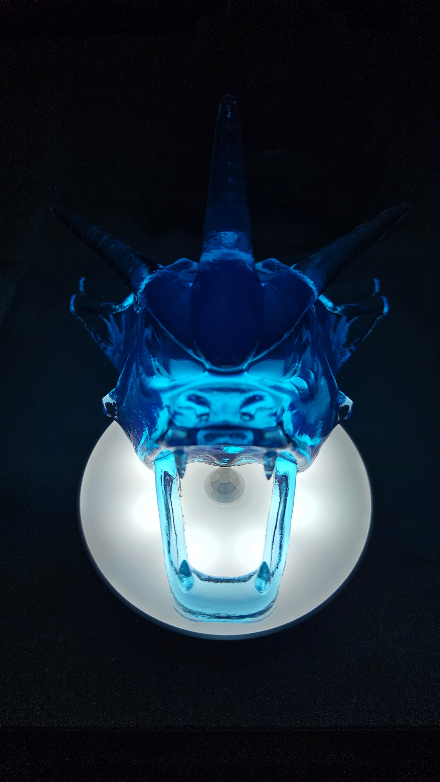 Crystal Skull With or Without Puck Light Size LARGE