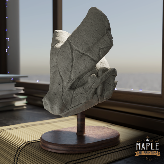 Unique Crystal Skulls Suicunee