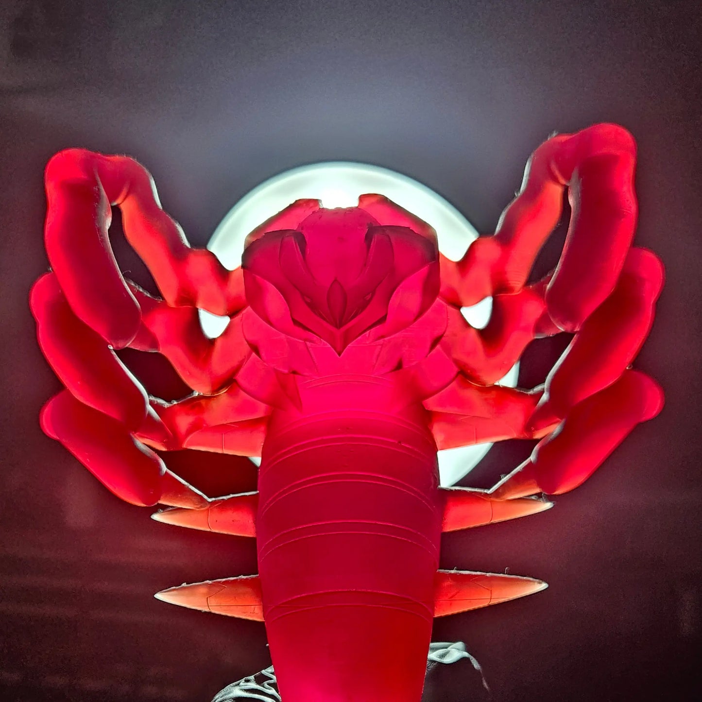 Pick and Choose (Medium) Translucent Colored PKMN FIGURE ONLY - Connects to the Medium Tank Stand