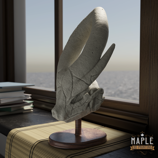 Unique Crystal Skulls Suicunee