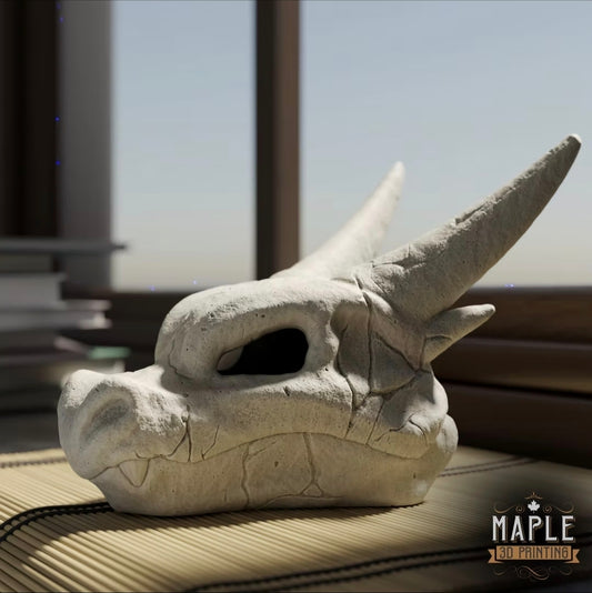 Unique Crystal Skulls Charizard X