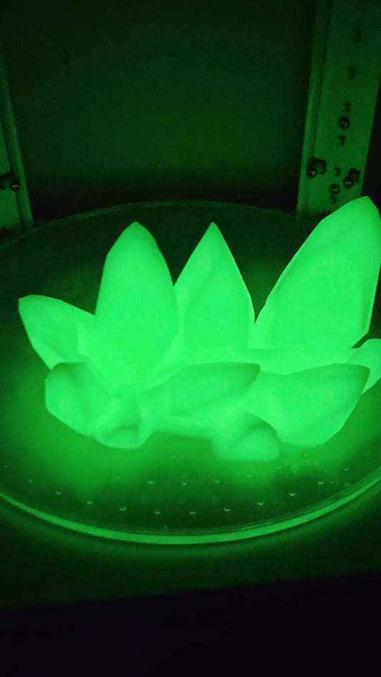 Card Holder holder Glow in the Dark